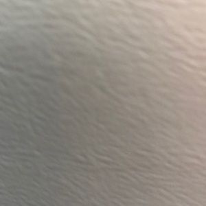 Meet your Posher, Leonardo